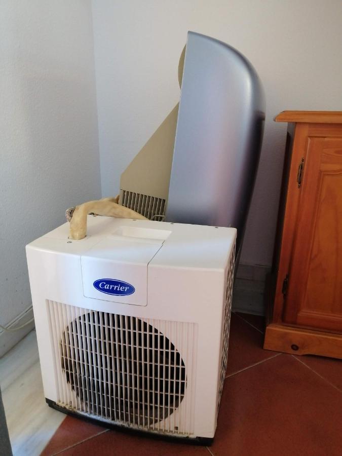 דירות Apartamento Urbanizacion Alcaudon Isla Canela 1A Linea De Playa מראה חיצוני תמונה
